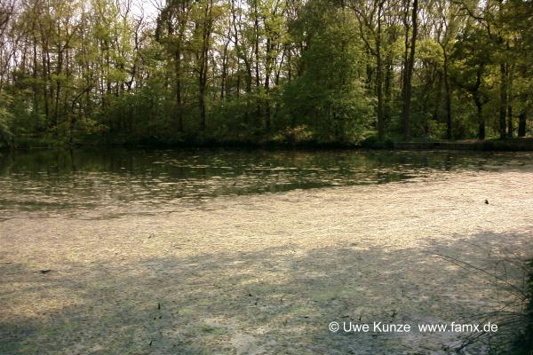 Foto 35 von 97 | Staditz Taucha