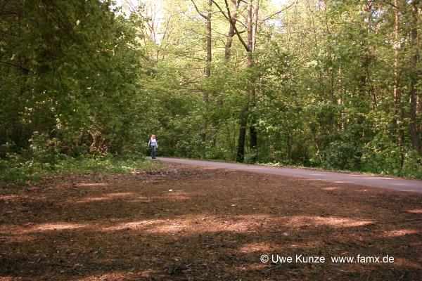 Foto 47 von 97 | Seegeritz Taucha