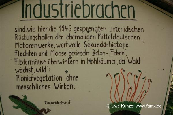 Foto 62 von 97 | MiMo Taucha