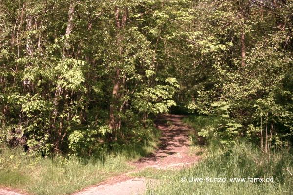 Foto 64 von 97 | MiMo Taucha