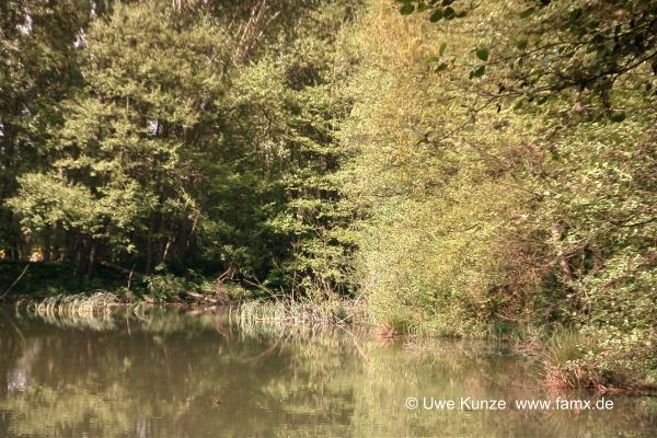 Foto 72 von 97 | MiMo Taucha