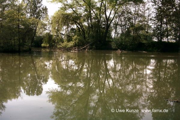 Foto 76 von 97 | MiMo Taucha