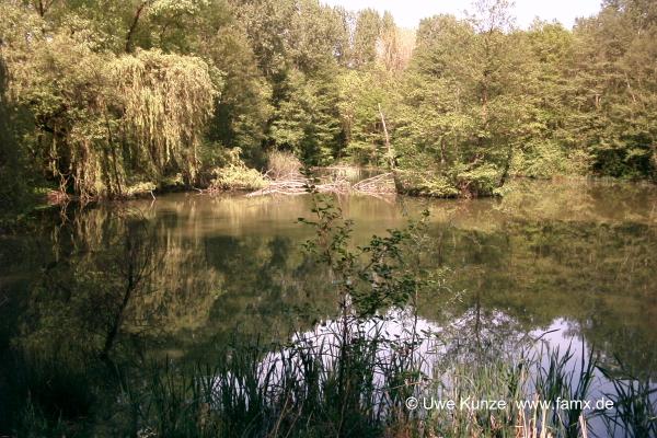 Foto 82 von 97 | MiMo Taucha