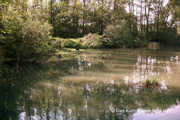 Foto 84 von 97 | MiMo Taucha