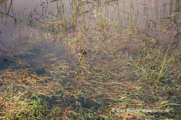 Foto 88 von 97 | MiMo Taucha