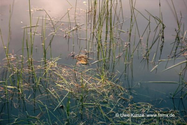 Foto 91 von 97 | MiMo Taucha