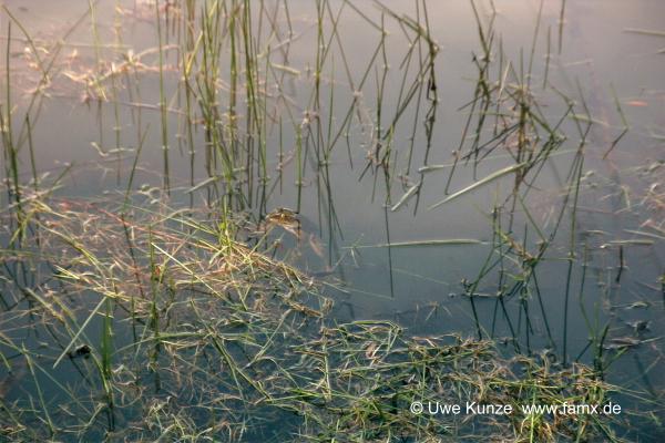 Foto 94 von 97 | MiMo Taucha