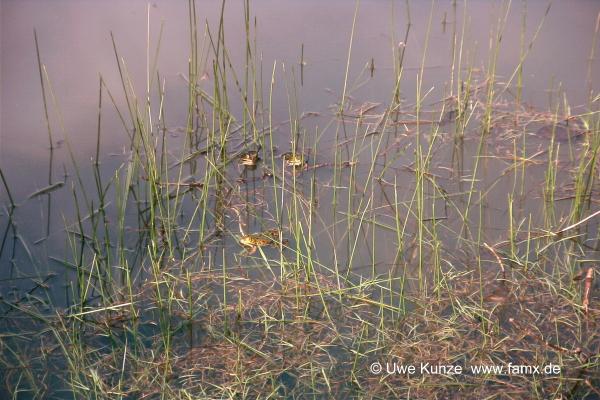 Foto 95 von 97 | MiMo Taucha