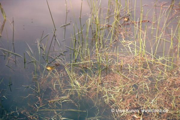 Foto 96 von 97 | MiMo Taucha