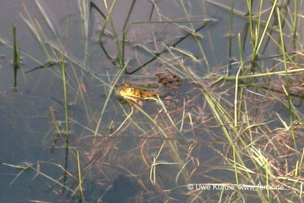 Foto 97 von 97 | MiMo Taucha