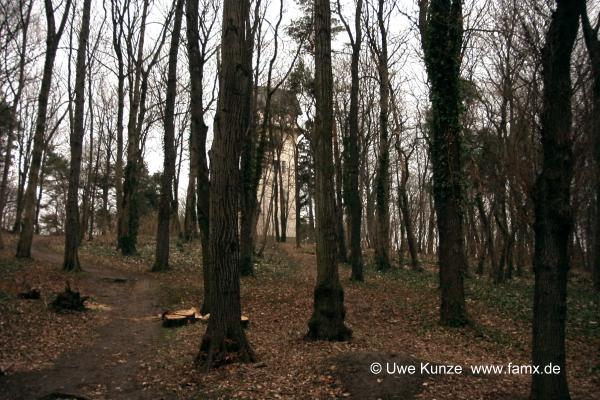 Foto 001 von 144 | Stadtwald Taucha