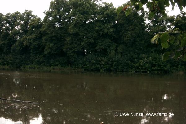 Foto 020 von 144 | Leipzig - Elster mit Hochwasser Taucha