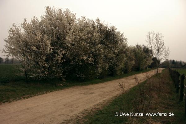 Foto 046 von 144 | Cradefeld Taucha