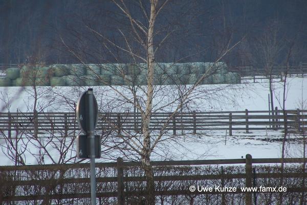 Foto 056 von 144 | Graßdorf Taucha