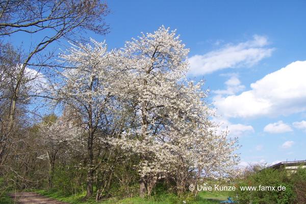 Foto 062 von 144 | Graßdorf Taucha