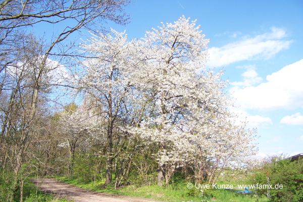 Foto 063 von 144 | Staditz Taucha