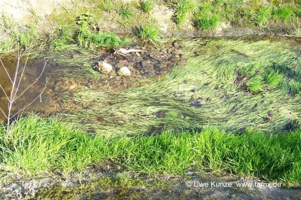 Foto 064 von 144 | Staditz Taucha