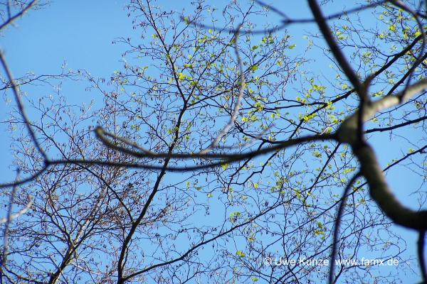 Foto 073 von 144 | Staditz Taucha