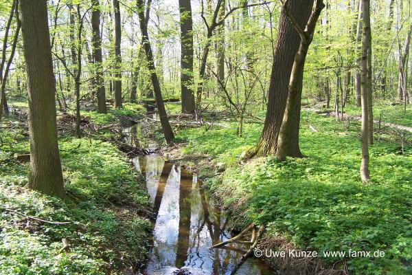 Foto 077 von 144 | Staditz Taucha