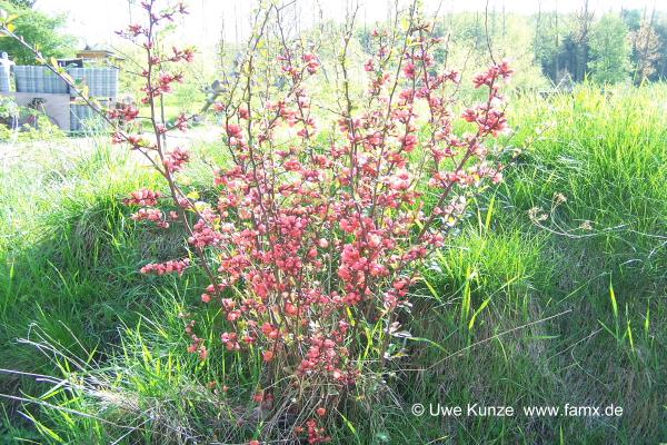 Foto 078 von 144 | Staditz Taucha