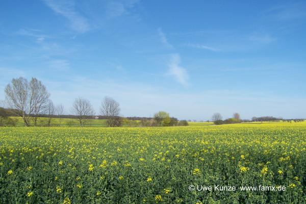 Foto 084 von 144 | Staditz Taucha