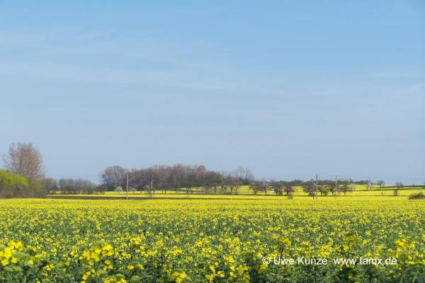 Foto 085 von 144 | Staditz Taucha