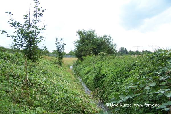 Foto 086 von 144 | MiMo Taucha