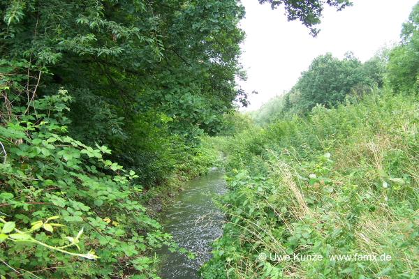 Foto 087 von 144 | MiMo Taucha