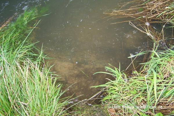 Foto 088 von 144 | MiMo Taucha