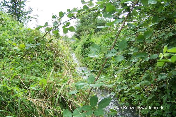 Foto 090 von 144 | MiMo Taucha