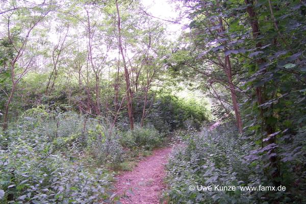 Foto 094 von 144 | MiMo Taucha