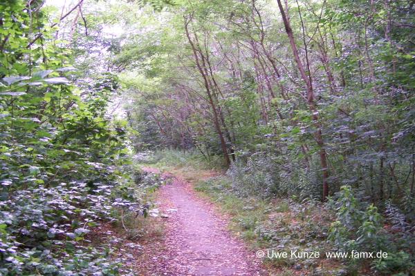 Foto 095 von 144 | MiMo Taucha