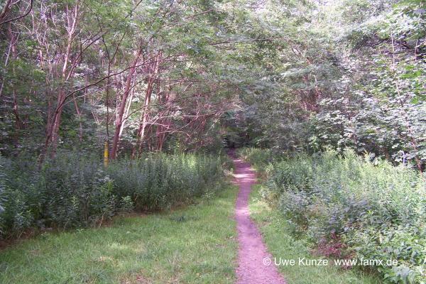 Foto 096 von 144 | MiMo Taucha