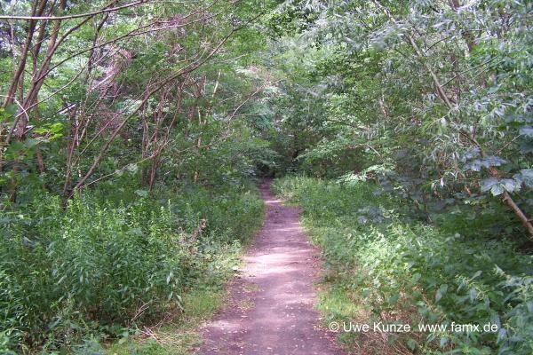 Foto 097 von 144 | MiMo Taucha