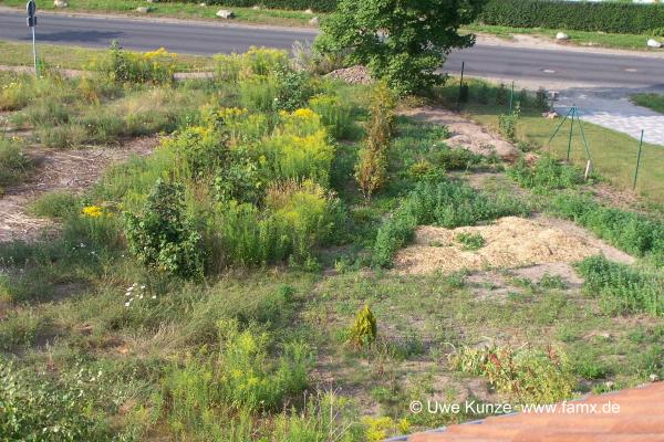 Foto 107 von 144 | Graßdorf Taucha