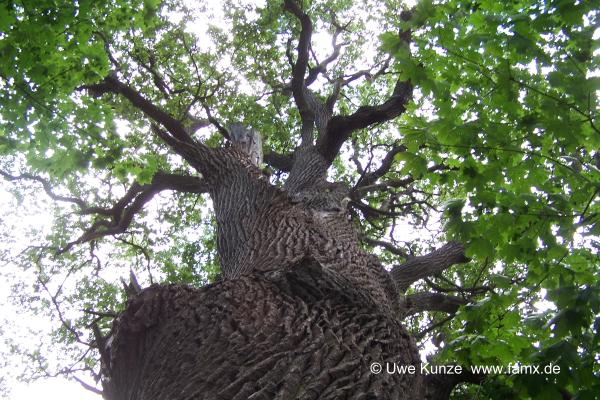 Foto 04 von 16 Taucha