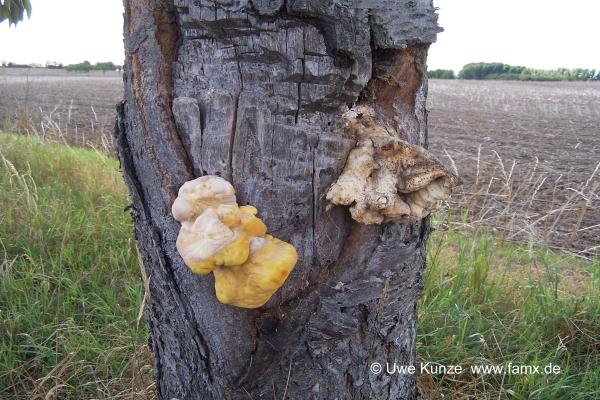 Foto 07 von 16 Taucha