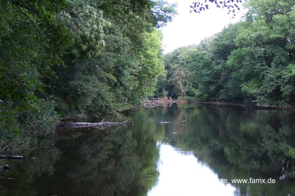 Foto 09 von 16 Taucha