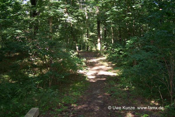 Foto 14 von 16 Taucha