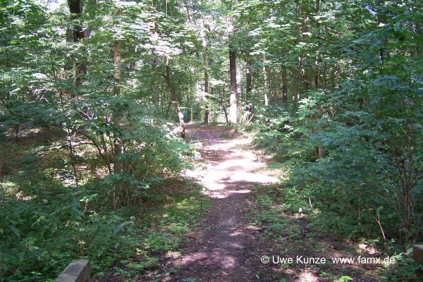 Foto 15 von 16 Taucha