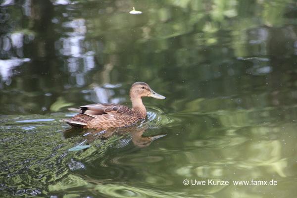 Foto 08 von 42 Taucha