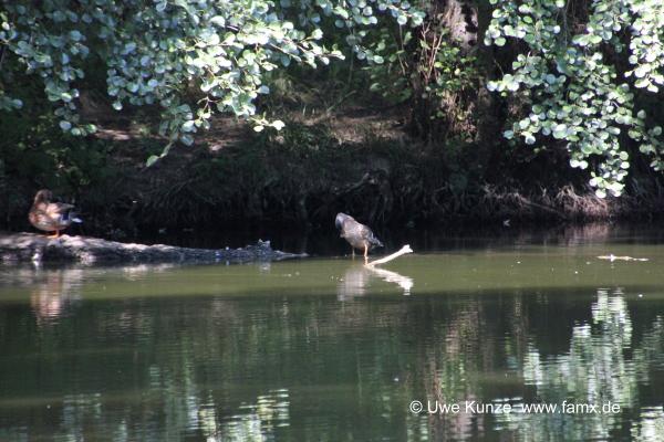 Foto 18 von 42 Taucha