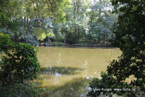 Foto 20 von 42 Taucha