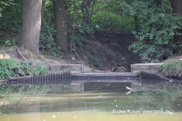 Foto 23 von 42 Taucha