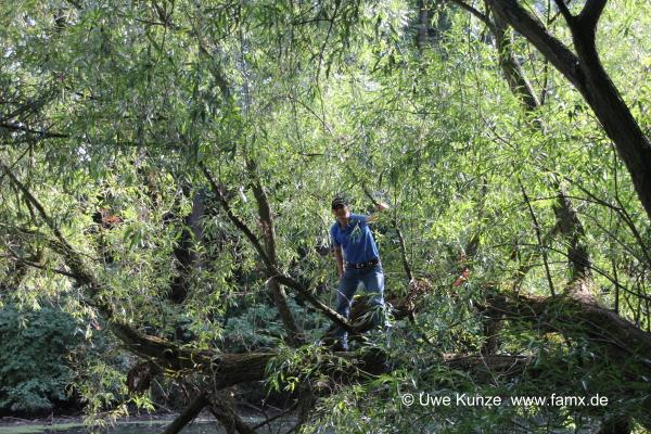 Foto 25 von 42 Taucha