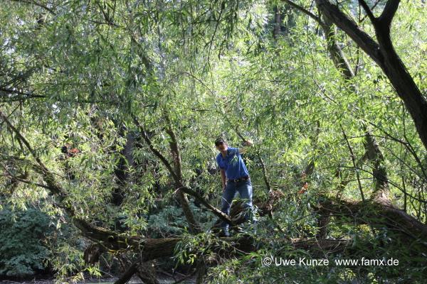 Foto 26 von 42 Taucha