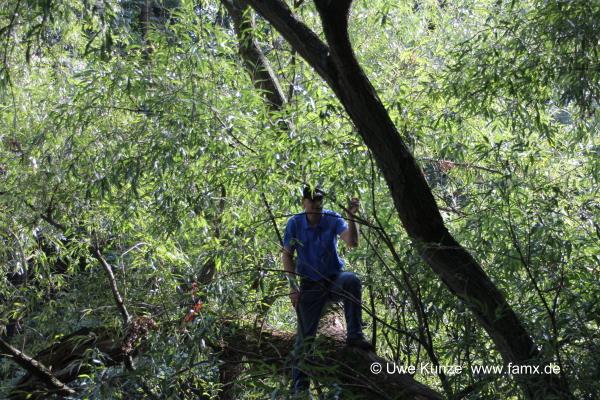 Foto 27 von 42 Taucha